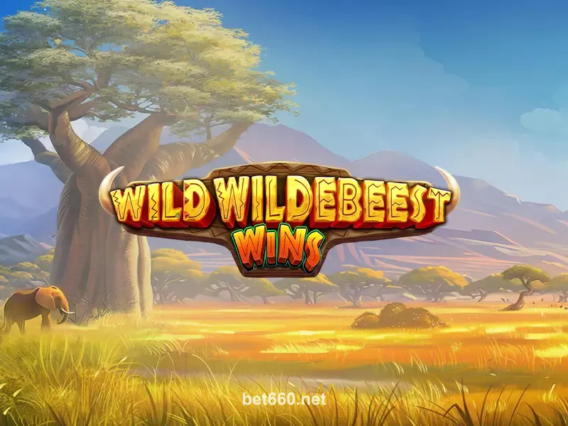 Wild Wildebeest Wins